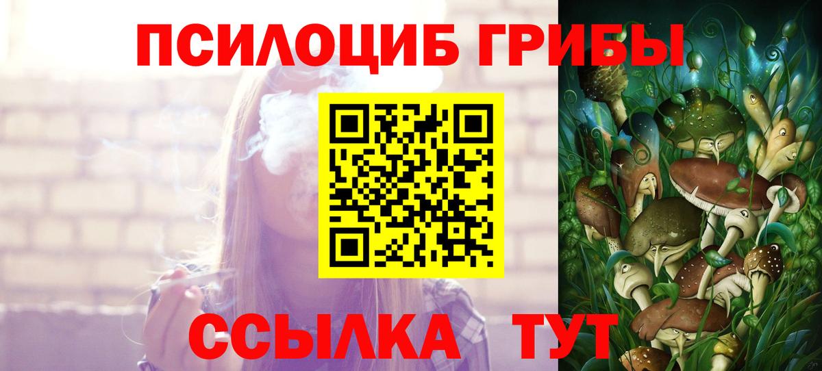 Златоуст  Псилоцибиновые грибы Psilocybine cubensis  Вход с VPN 